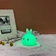 silicone night light